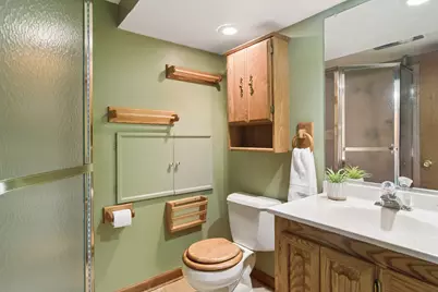 135 Schuldt Drive, Lake Zurich, IL 60047 - Photo 28