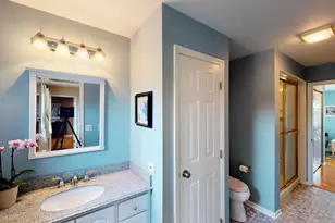 10661 Hollow Tree Rd, Orland Park, IL 60462 - Photo 24