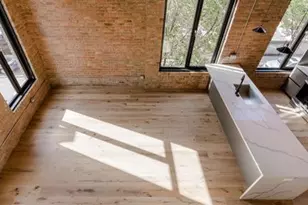 729 N Sangamon St, Chicago, IL 60642 - Photo 10