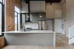 729 N Sangamon St, Chicago, IL 60642 - Photo 6