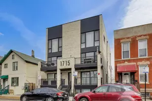 1715 S Morgan St, Chicago, IL 60608 - Photo 2