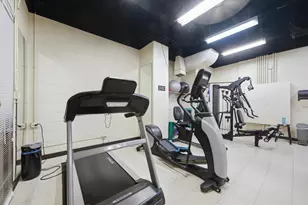 1310 N Ritchie Ct, Chicago, IL 60610 - Photo 26