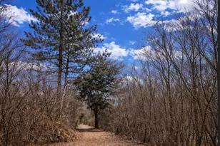 5508 S Stough St, Hinsdale, IL 60521 - Photo 6