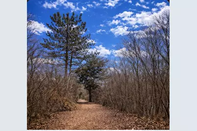 5508 S Stough Street, Hinsdale, IL 60521 - Photo 6