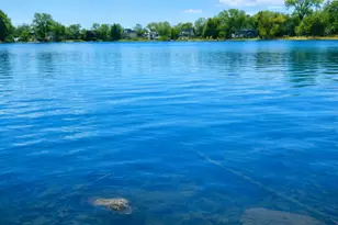 5508 S Stough St, Hinsdale, IL 60521 - Photo 8