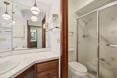 226 White Fawn Trail, Downers Grove, IL 60516 - Photo 28