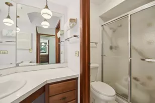 226 White Fawn Trail, Downers Grove, IL 60516 - Photo 28