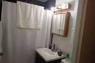 16 E Old Willow Rd, Prospect Heights, IL 60070 - Photo 10