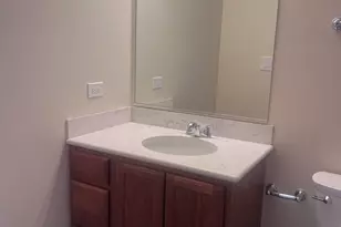 547 Goodwin Dr, Bolingbrook, IL 60440 - Photo 20