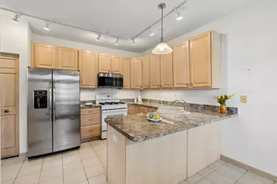 1738 Park Ridge Point, Park Ridge, IL 60068 - Photo 8