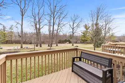 217 Winding Trails Drive, Willow Springs, IL 60480 - Photo 30