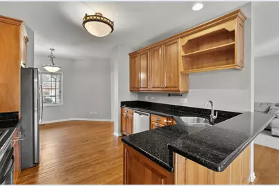 217 Winding Trails Drive, Willow Springs, IL 60480 - Photo 28