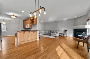 217 Winding Trails Dr, Willow Springs, IL 60480 - Photo 6