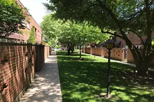 325 N Oak Park Ave, Oak Park, IL 60302 - Photo 48