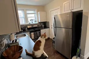 3823 N Greenview Ave, Chicago, IL 60613 - Photo 4