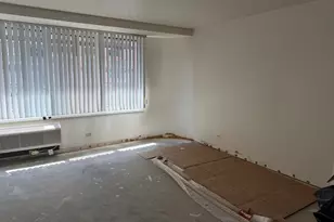 211 E Ohio St, Chicago, IL 60611 - Photo 22