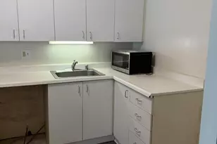 211 E Ohio St, Chicago, IL 60611 - Photo 16