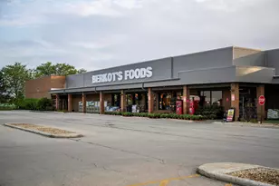 26010 S Rowena Dr, Manhattan, IL 60442 - Photo 52