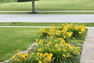 12901 Norwich St, Plainfield, IL 60585 - Photo 6