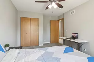 24339 W Apple Tree Ln, Plainfield, IL 60585 - Photo 26