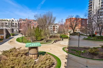 1455 N Sandburg Terrace #2009, Chicago, IL 60610 - Photo 16