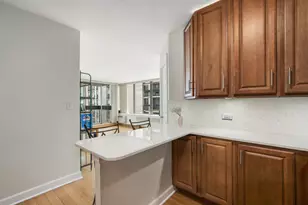 1455 N Sandburg Terrace, Chicago, IL 60610 - Photo 6