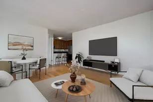 1455 N Sandburg Terrace, Chicago, IL 60610 - Photo 4