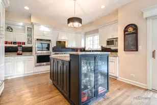 28817 N Spyglass Circle, Ivanhoe, IL 60060 - Photo 12