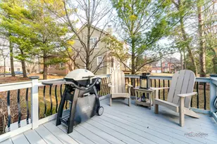 28817 N Spyglass Circle, Ivanhoe, IL 60060 - Photo 44