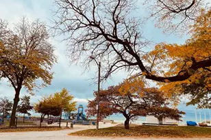 1335 W Lunt Ave, Chicago, IL 60626 - Photo 2