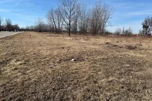 00 Anne Ln, Morris, IL 60450 - Photo 1