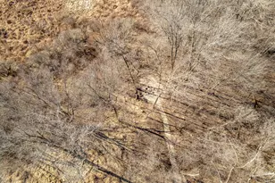 651 Genoa St, Cherry Valley, IL 61016 - Photo 10