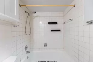 10117 S Cicero Ave, Oak Lawn, IL 60453 - Photo 10