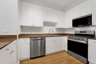 1250 S Michigan Ave, Chicago, IL 60605 - Photo 4