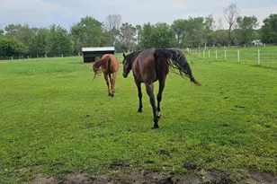 691 N State Route 1 17, Momence, IL 60954 - Photo 38