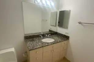 512 N McClurg Ct, Chicago, IL 60611 - Photo 6