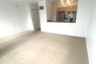 512 N McClurg Ct, Chicago, IL 60611 - Photo 8