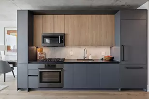 234 W Polk St, Chicago, IL 60607 - Photo 6