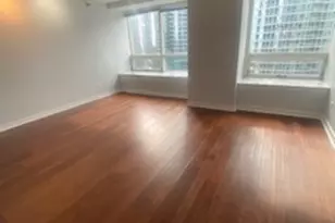 512 N McClurg Ct, Chicago, IL 60611 - Photo 4