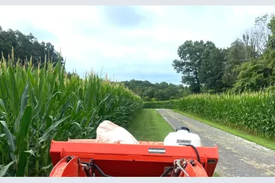 4763 State Route 127 Highway N, Cobden, IL 62920 - Photo 42