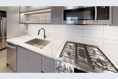 729 N Sangamon Street #303, Chicago, IL 60642 - Photo 2