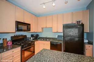 1250 S Michigan Ave, Chicago, IL 60605 - Photo 6