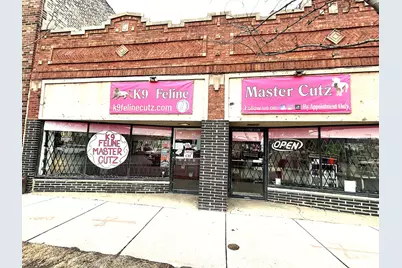 3620 W Division Street, Chicago, IL 60651 - Photo 2