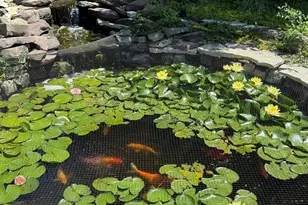 739 Meadow Ln, Barrington, IL 60010 - Photo 26