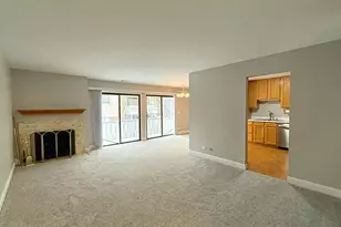 314 Wildberry Ct, Schaumburg, IL 60193 - Photo 2