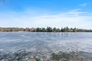 709 Woodbridge Ct, Lake Barrington, IL 60010 - Photo 30