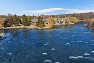 709 Woodbridge Ct, Lake Barrington, IL 60010 - Photo 32