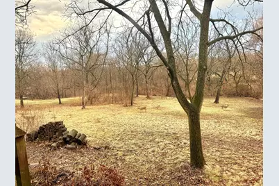 14203 S King Road, Homer Glen, IL 60491 - Photo 8