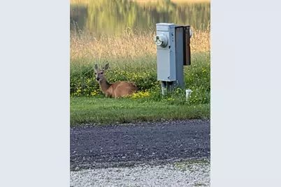 23-93 Woodhaven Lakes, Sublette, IL 61367 - Photo 22