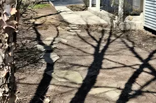 308 Windsor Ct, South Elgin, IL 60177 - Photo 28